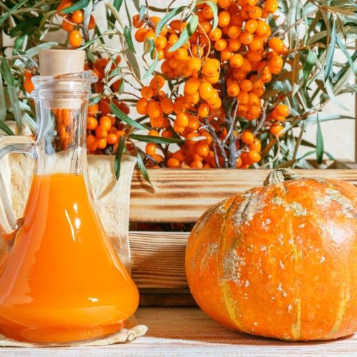 Vegetarian food healthy nutrition preserving harvest of ripe juicy sea buckthorn and homemade pumpkin, preparing fresh healthy vitamin drink and healing broth. Bottle juice branches orange berry fruit