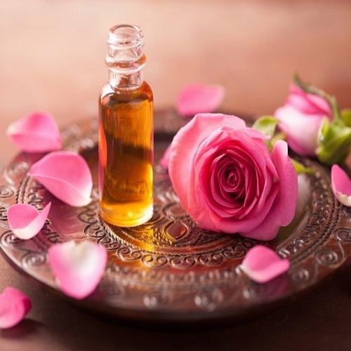 rose absolute oil